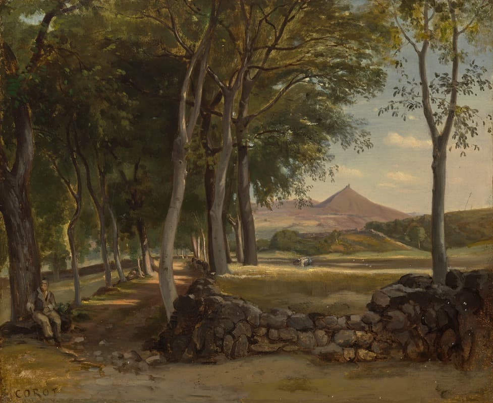 Paysage montagneux vu à travers les arbres