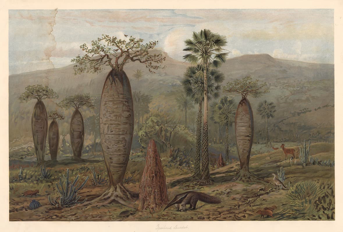 Brazilian mountain landscape