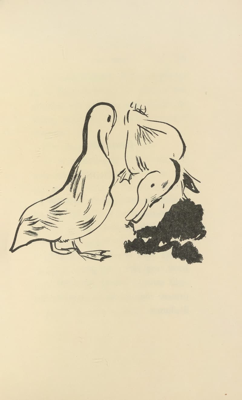 Histoires naturelles Pl 07