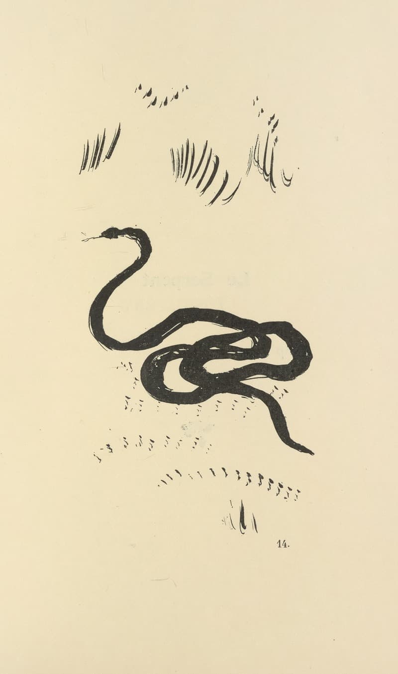 Histoires naturelles Pl 30