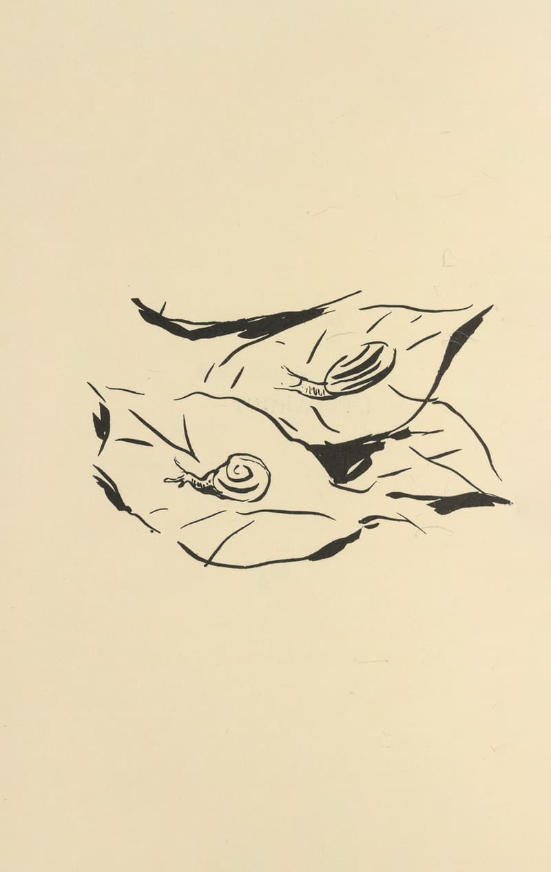 Histoires naturelles Pl 31