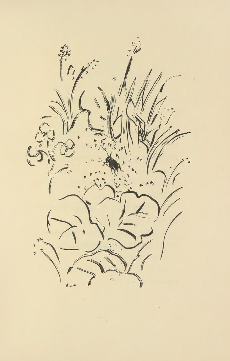 Histoires naturelles Pl 40