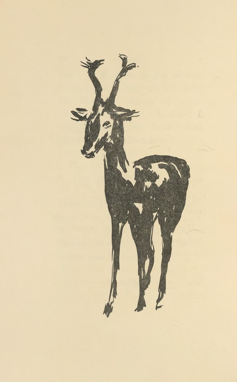 Histoires naturelles Pl 46