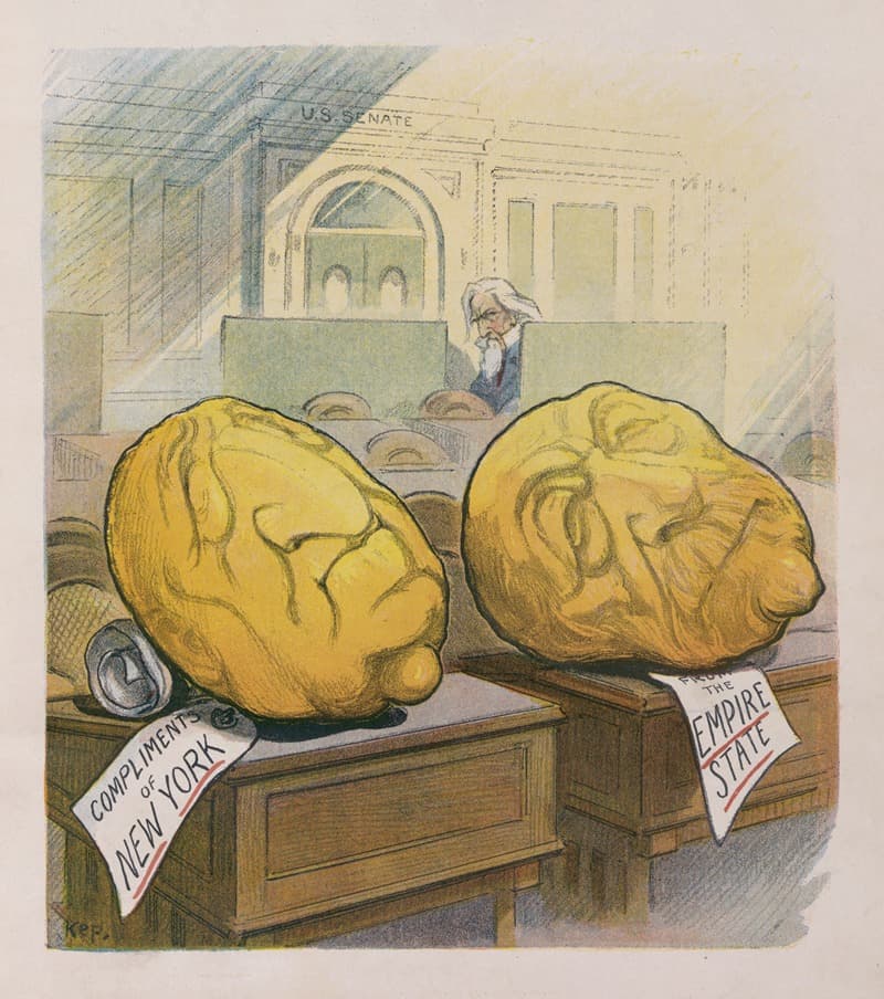 The thick-skin variety