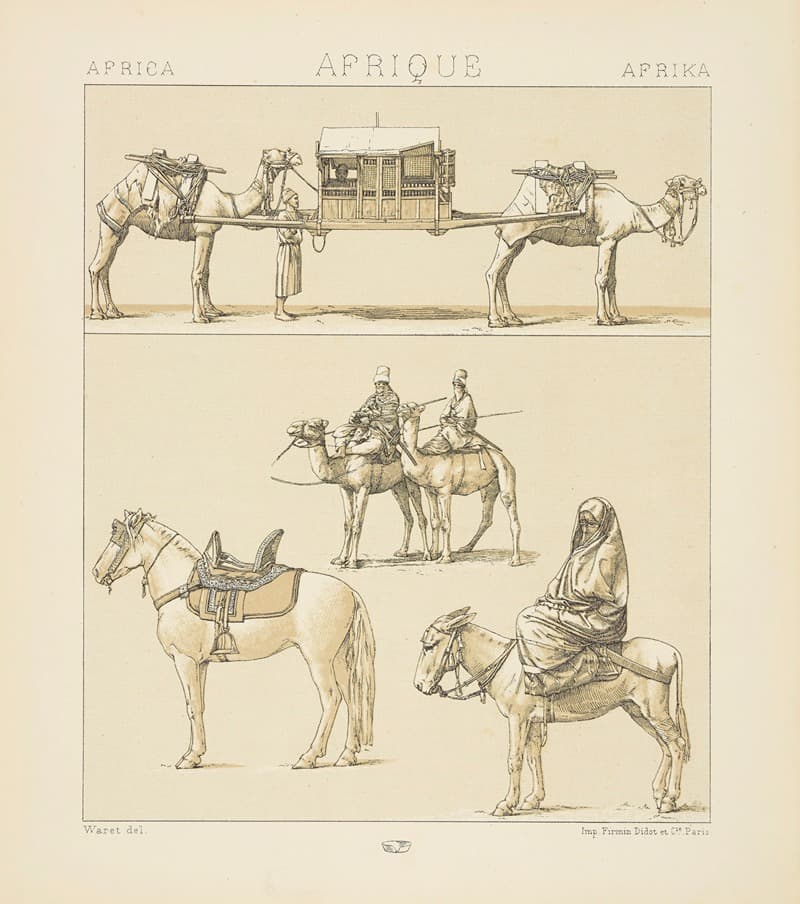 Les montures et les animamaux de transport;  le Touareg, une femme égyptienne en costume de ville