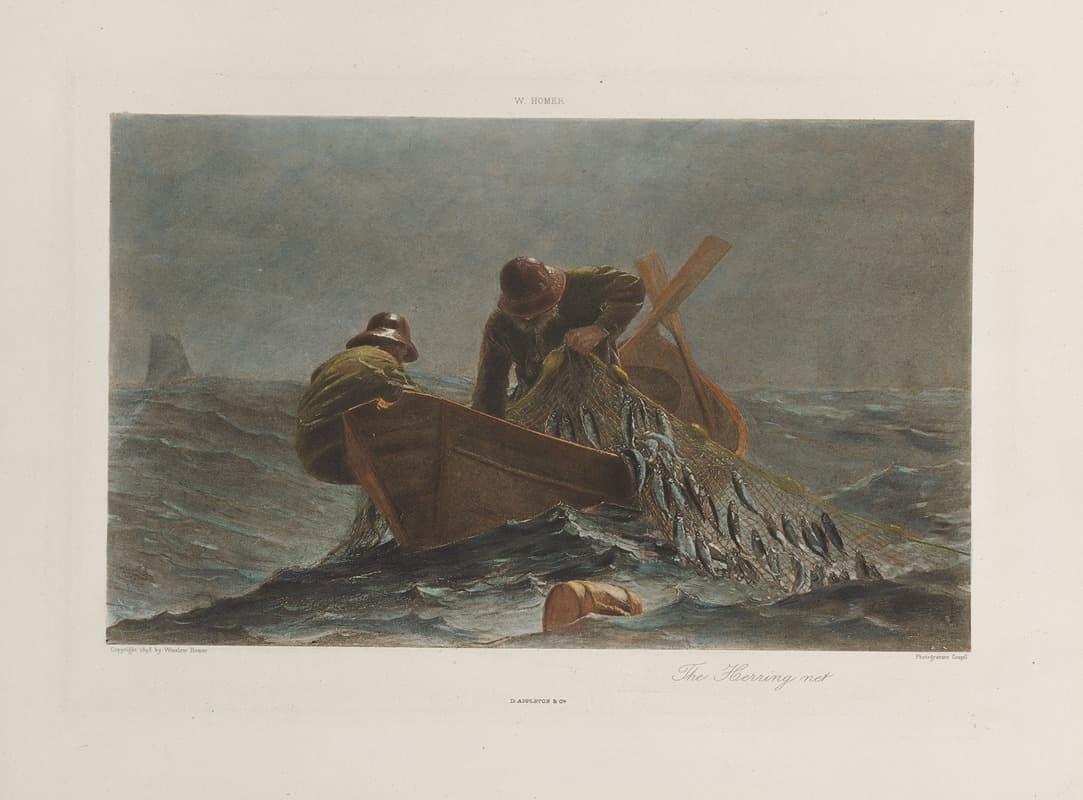 Сеть для сельди