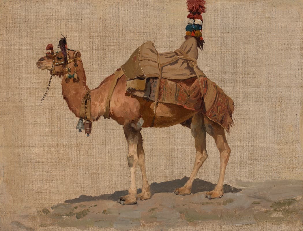 Study of a camel