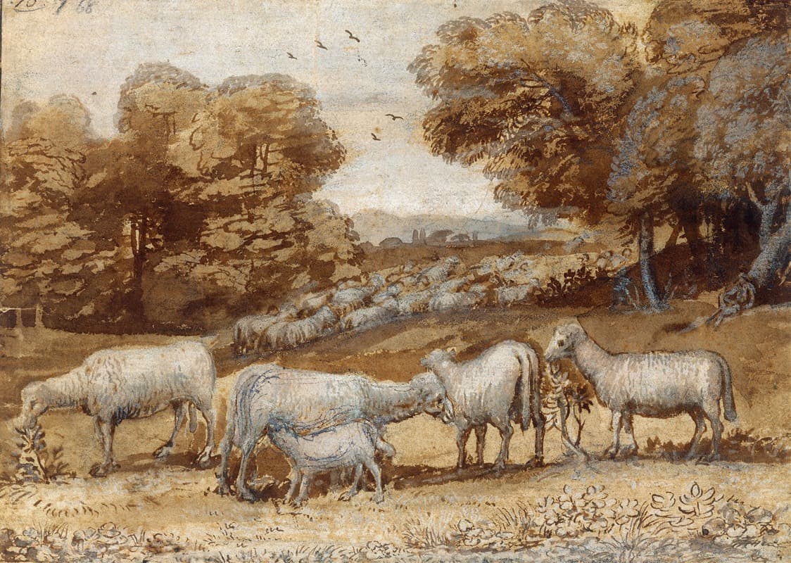 Landscape with Sheep