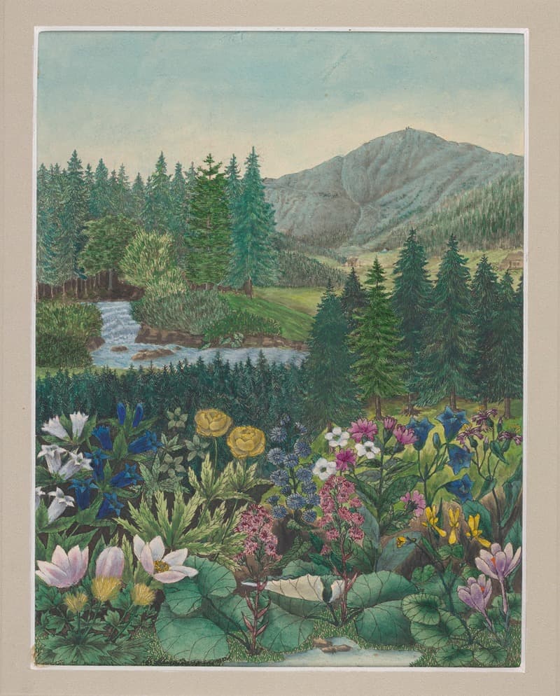 Растительность Карконожских гор Пл.3