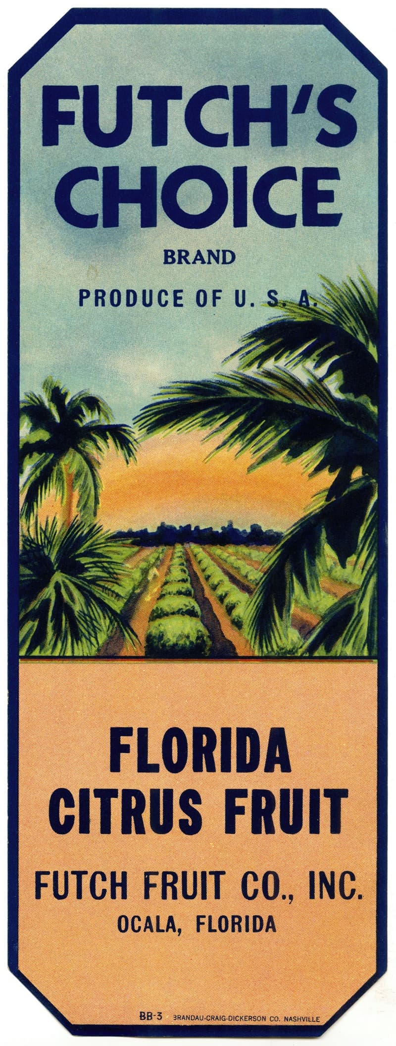 Этикетка цитрусовых Фатча