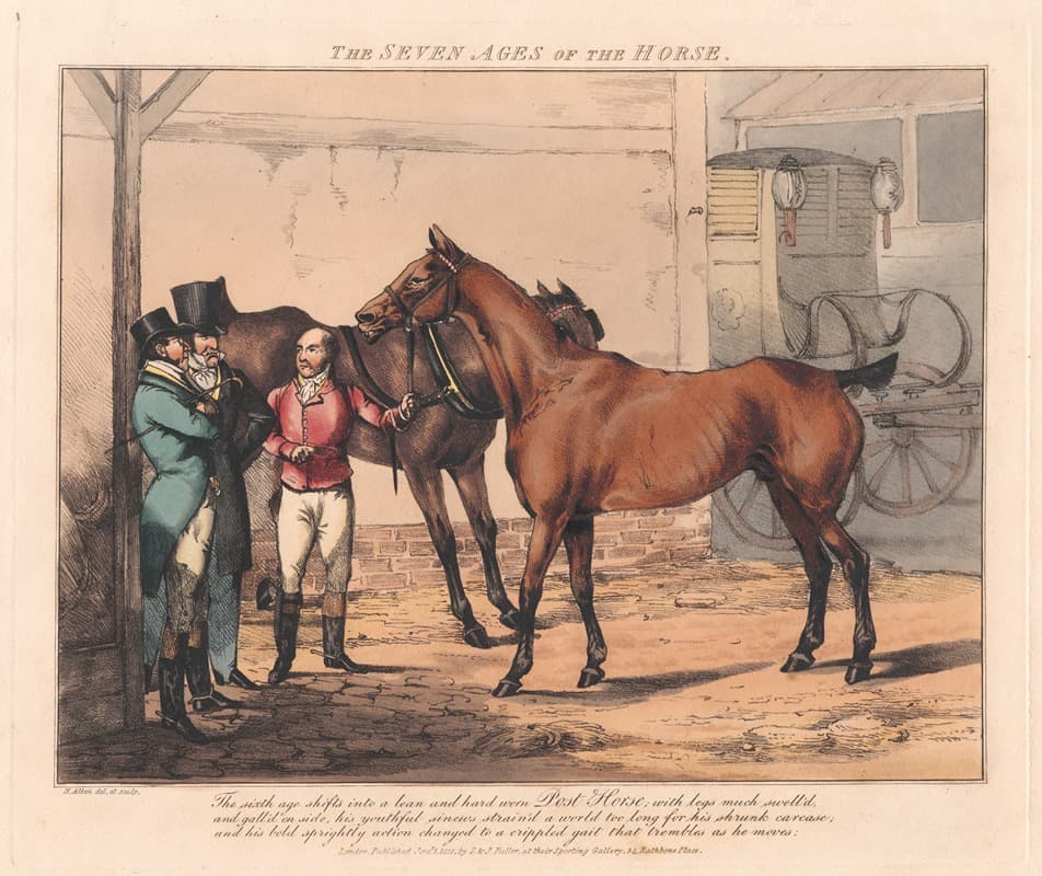 Семь возрастов лошади