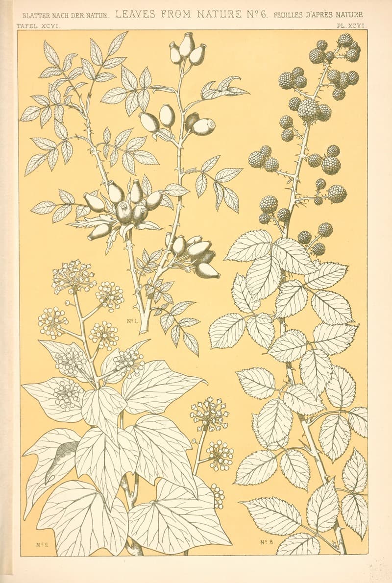 Листья из природы, № 6.